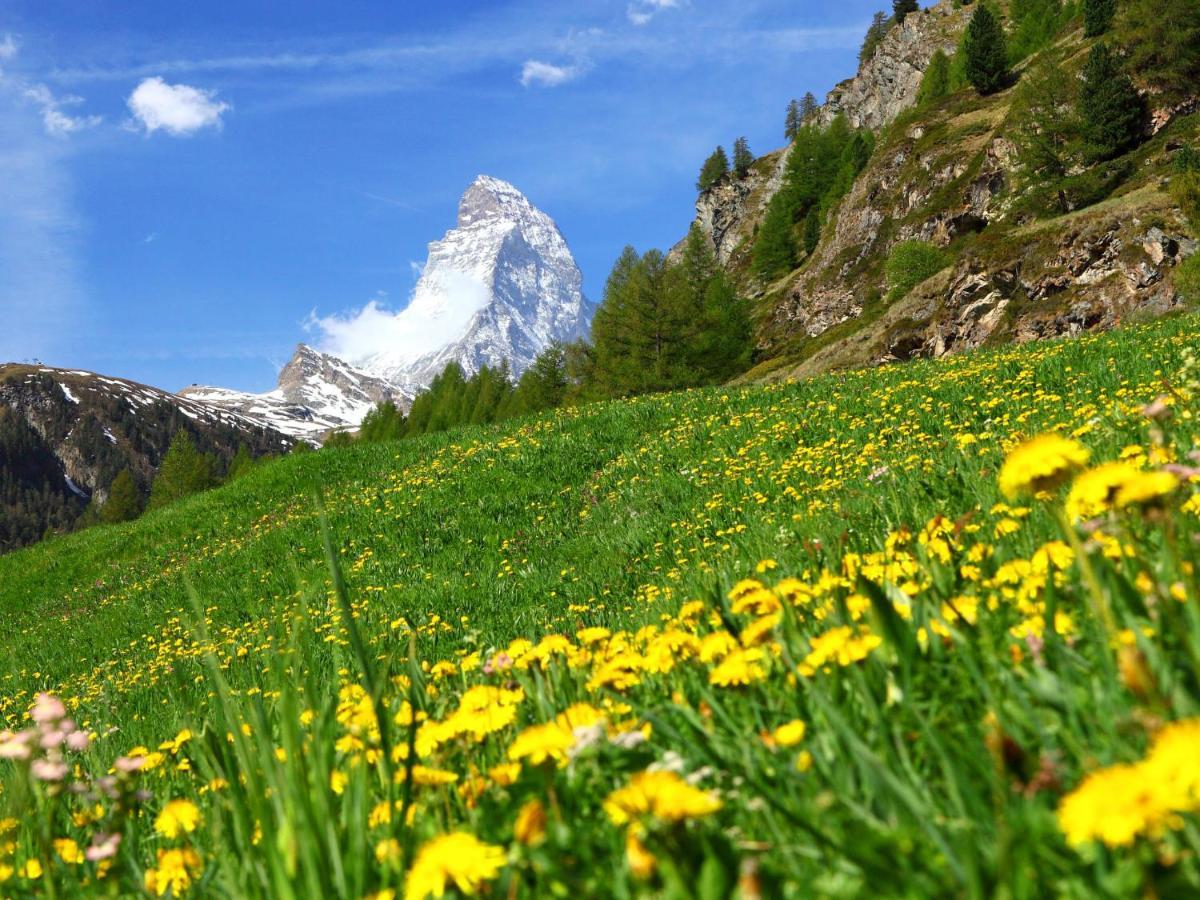 Apartment Dianthus-1 By Interhome Zermatt Eksteriør bilde