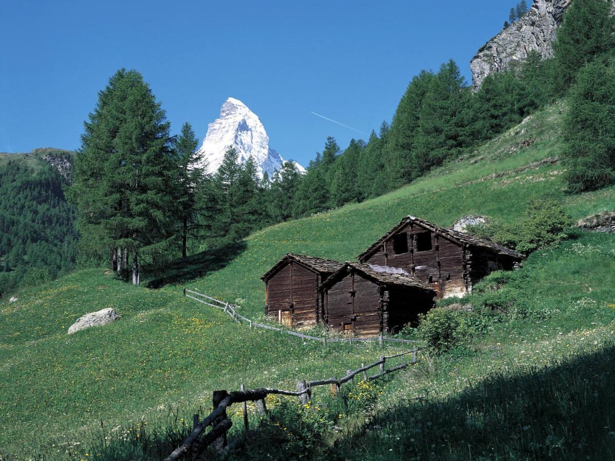 Apartment Dianthus-1 By Interhome Zermatt Eksteriør bilde